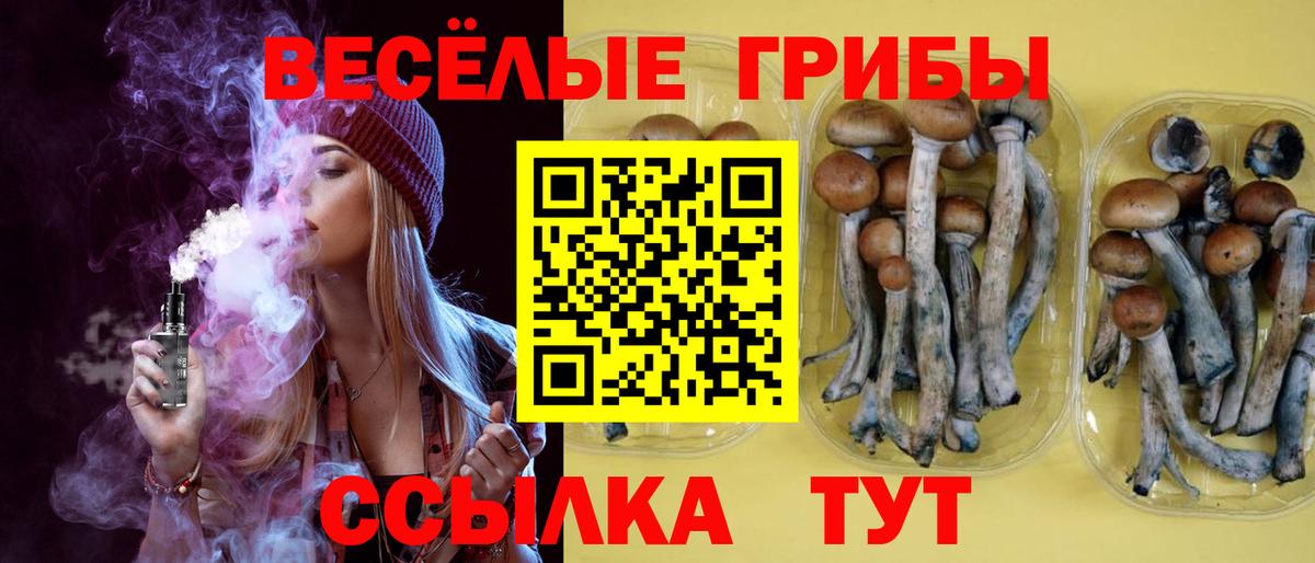 Кыштым  Галлюциногенные грибы прущие грибы  Вход с VPN  Псилоцибиновые грибы Psilocybine cubensis 